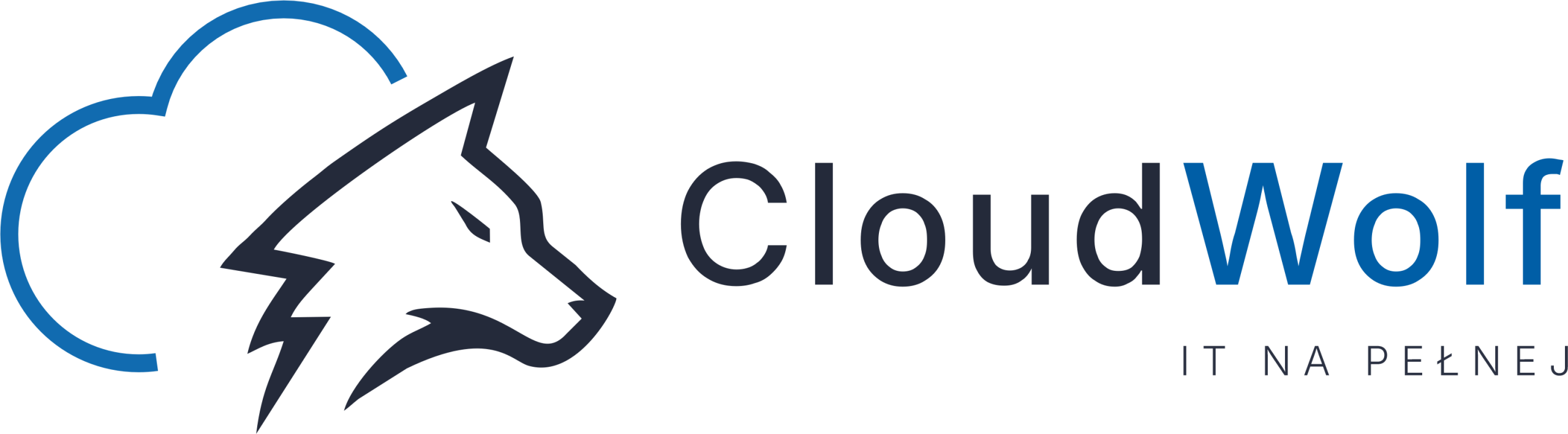 CloudWolf-IT-na-pelnej-logo CloudWolf - Łukasz WIlkowski - logo firmowe